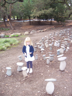 Domaine Chandon Napa Sone Mushrooms